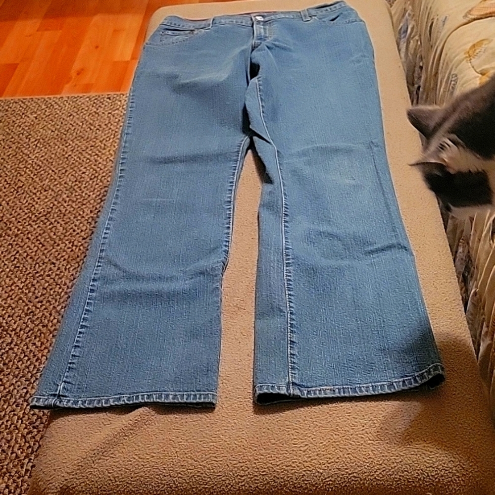 Levi Strauss Jeans